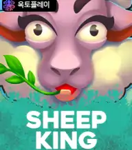 쉽 킹